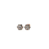 Maya Lianna 1.00 cttw Diamond Flower Cluster Earrings