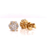 Maya Lianna .75 ctw Diamond and 14K Yellow Gold Cluster Earrings