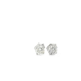 0.75 CTTW Studs Earrings