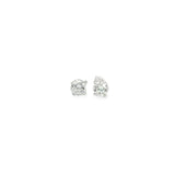 1.00 CTTW Studs Earrings