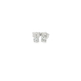 0.33 CTTW Studs Earrings
