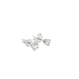 0.25 CTTW Studs Earrings
