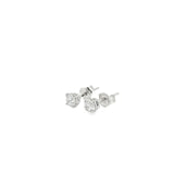 0.50 CTTW Studs Earrings