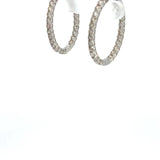 3.00 CTTW Hoops Earrings