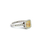 1.67 CTTW Halo Ring