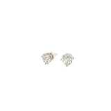 3.00 CTTW Studs Earrings
