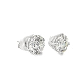 6.02 CTTW Studs Earrings