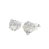 6.02 CTTW Studs Earrings
