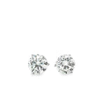 0.25 CTTW Studs Earrings