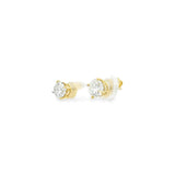 1.50 CTTW Studs Earrings