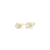 1.50 CTTW Studs Earrings