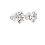 7.62 CTTW Studs Earrings