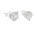 3.00 CTTW Studs Earrings