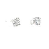 1.44 CTTW Studs Earrings