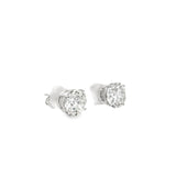 4.00 CTTW Studs Earrings
