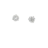 2.53 CTTW Studs Earrings