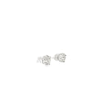 4.01 CTTW Studs Earrings