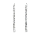 5.00 CTTW Hoops Earrings