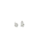 1.24 CTTW Studs Earrings