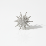 Modern Tiffany & Co. Stardust 3.20 cttw Diamond Platinum Brooch