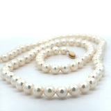 Modern 6.50 x 7.00 mm Japanese Akoya Cultured Pearls 24" 14kt Yellow Gold Necklace