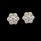 Maya Lianna .75 ctw Diamond and 14K Yellow Gold Cluster Earrings
