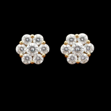 Maya Lianna Diamond and 14K Yellow Gold Cluster Earrings