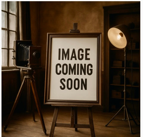 Roberto Coin Snake Diamond Flexible Bracelet 18K White and Rose Gold