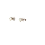 0.75 CTTW Studs Earrings