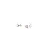 0.33 CTTW Studs Earrings