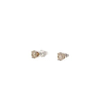 0.75 CTTW Studs Earrings