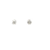 1.00 CTTW Studs Earrings