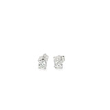 0.50 CTTW Studs Earrings