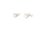 1.00 CTTW Studs Earrings