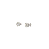 0.75 CTTW Cluster Earrings