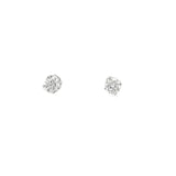 0.75 CTTW Studs Earrings