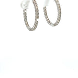 3.00 CTTW Hoops Earrings
