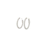 0.75 CTTW Hoops Earrings