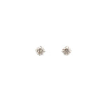 1.50 CTTW Studs Earrings