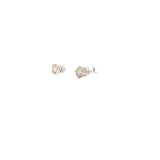 1.25 CTTW Studs Earrings