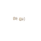 2.00 CTTW Studs Earrings