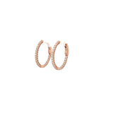 0.75 CTTW Hoops Earrings