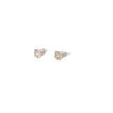 1.50 CTTW Studs Earrings