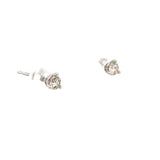 0.25 CTTW Studs Earrings