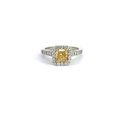 1.67 CTTW Halo Ring