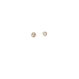 1.00 CTTW Studs Earrings