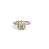 1.54 CTTW Halo Ring