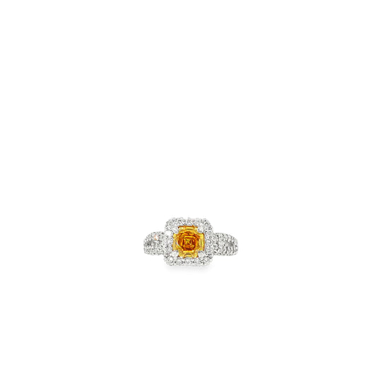2.95 CTTW Halo Ring