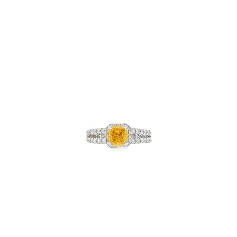 2.03 CTTW REN Ring