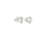 4.01 CTTW Studs Earrings